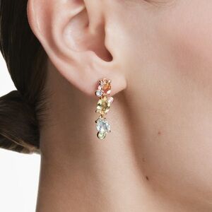 Swarovski Multicolor Drop Earrings